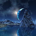 Reflections on an Empty Planet